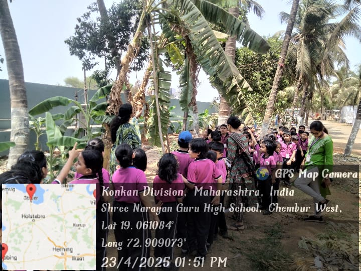 Environment Day Celebration