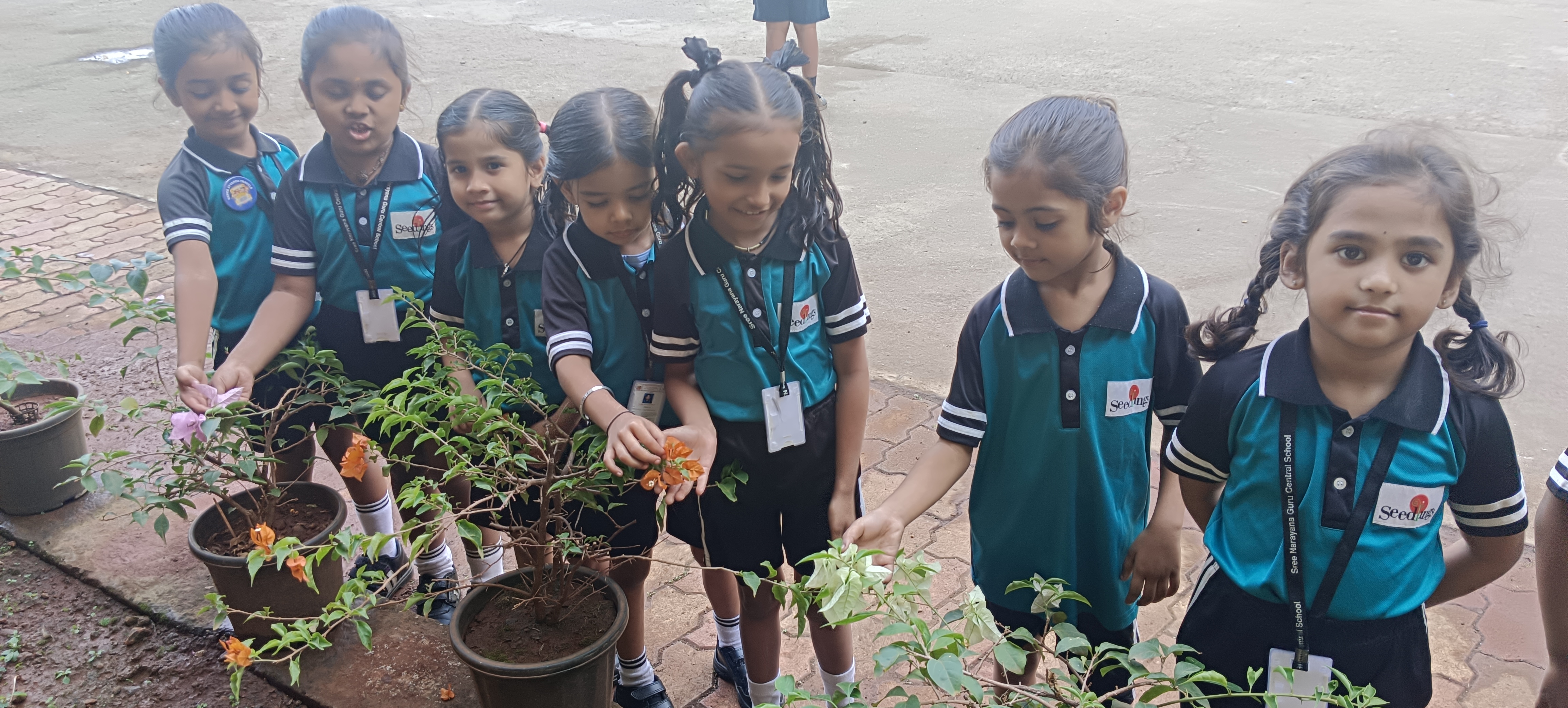 Nature walk Sr kg
