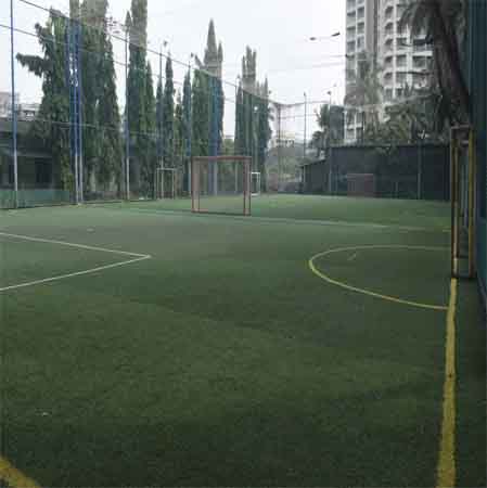 Turf Ground